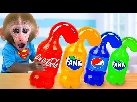 Monkey Baby Bon Bon and the hilarious chase with the hummingbird