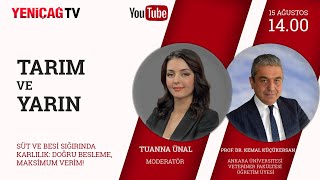 Süt ve Besi Sığırında Karlılık: Doğru Besleme, Maksimum Verim! | TARIM VE YARIN