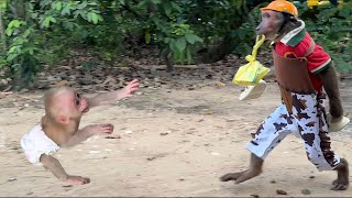 Baby Monkey Touched to Welcome Abu Back Home