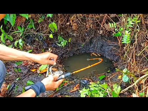 PEMANCING IKAN LEMBAT | MANCING IKAN LEMBAT DAPAT BESAR DI LUBANG HITAM | fishing 2025