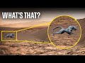 Venus Exploration and Characteristics