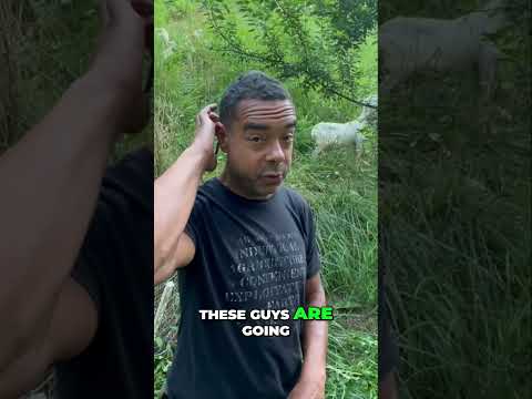 Prune Like the Permaculture P.I.M.P. Daddy￼: ￼￼USE YOUR ALLIES!