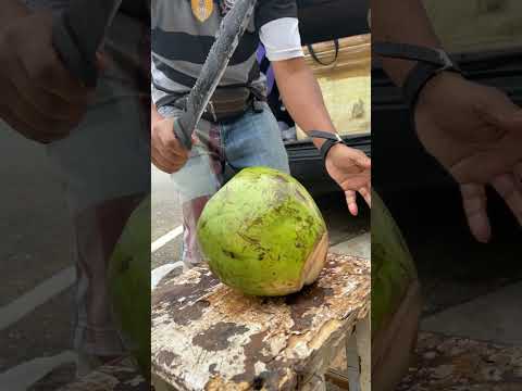 🇧🇷 One Chop Coconut Man in Street Market Brazil! #shorts
