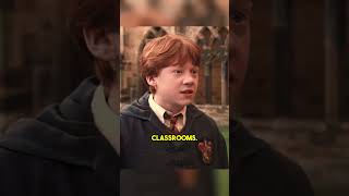 Harry Potter Rules They Always Break!