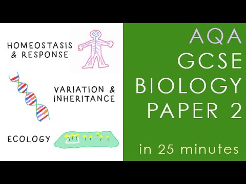 All of AQA BIOLOGY Paper 2 in 25 minutes - GCSE Science Revision