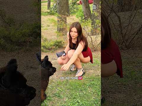 10 Conscientious People Who Saved Animals 😯 Part 15