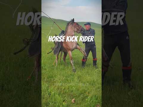 Equestrian Thrills ... #equestrian #horse #rider #shorts #youtubeshorts #viralshorts #ytshorts