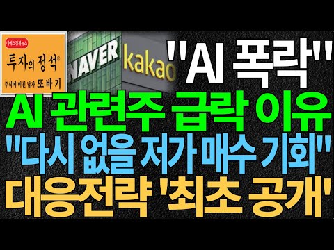 [주식] AI 관련주 급락 이유 2025년 "다시 없을 저가 매수 기회" AI 대장주 대응전략 '최초 공개' 주가 주가전망 주식추천 대응방법 디에스경제뉴스 또바기