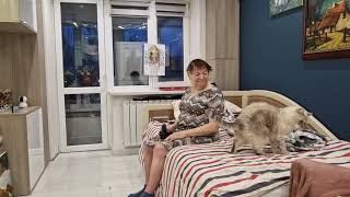 видео