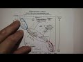 Star Characteristics and Processes