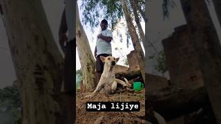 maja lijiye #song #shorts