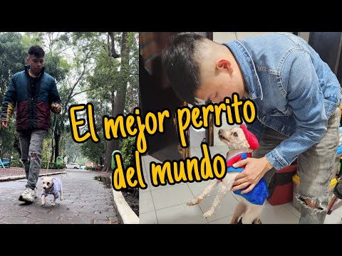 El mejor perrito del mundo 🐶🕊️