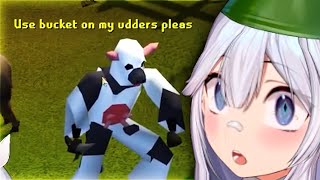 Vei's Old School RuneScape Experience