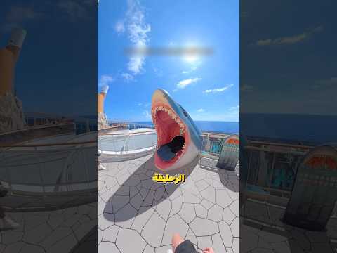جرب الشاب زحليقة على شكل قرش 🦈😳!!؟