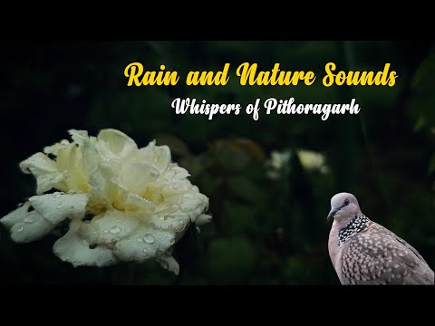 Rain and Nature Sounds | Whispers of Pithoragarh | Folk Songs of Uttarakhand | Umbrella Studios