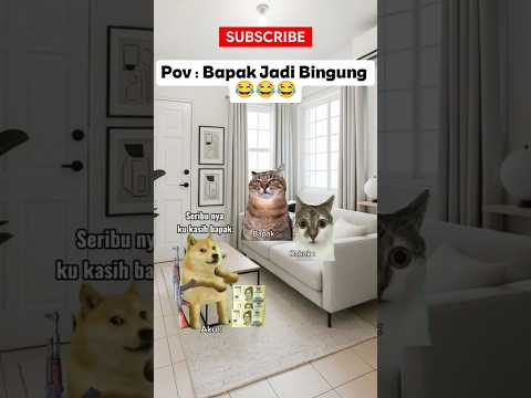 Ada Yang Bisa Jelaskan ⁉️ 🤣 @HamsarKapongke #kucing #cat #funnycat #adevrocat #funny #meme