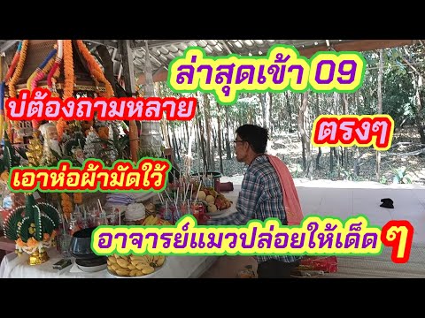 #ปล่อยให้เด็ดๆต่องวด#อาจารย์แมว#ล่าสุดเข้า09ตรงๆตามต่อ17/1/68