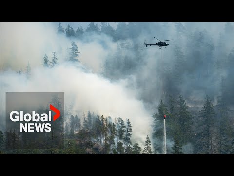 YouTube video thumbnail: Canada Faces Pressure From US Over Wildfire Smoke