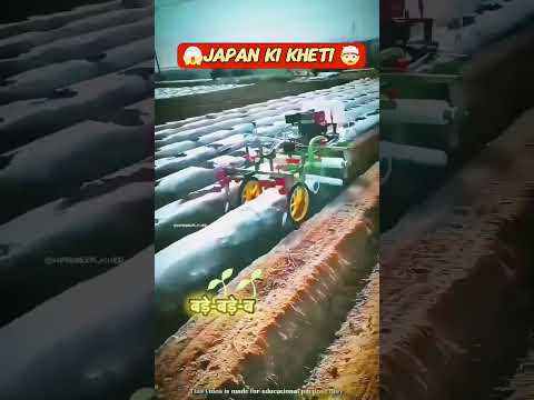 🇯🇵 Japan ke Log Kheti Kaise Karte Hain? | Modern Farming Techniques in Japan #shorts #shortsfeed