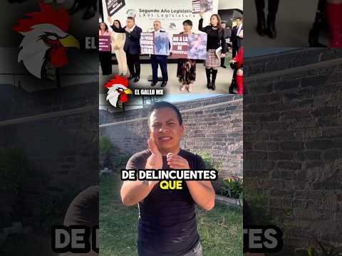 ALITO PIDE QUE DEJEN LIBRES A LOS ANGELITOS‼️