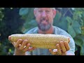 Loofah Plant Knowledge Assessment