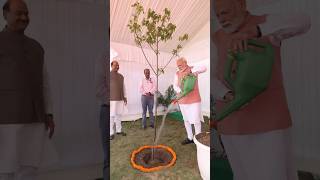 PM Modi inaugurates newly constructed flats for MPs, plants Sindoor sapling | #shorts