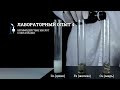 Video Segment Features and Elements
