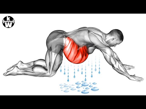 Your Six-pack is Covered by Belly Fat. ➜ Get abs in 2 weeks.