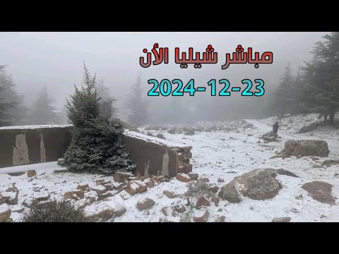 مباشر الان تساقط الثلوج بكثافة مرتفعات الشيليا 🌨️❄️ الجزائر 🇩🇿