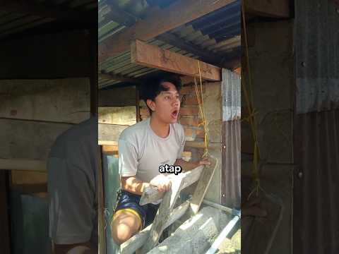 Gunung Dibelakang Rumahku Meletus Lagi #shorts #lucu #vlog