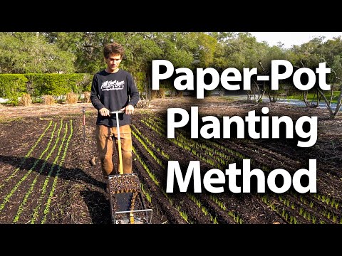 Appropriate Farm Technology: How To Use The Paper Pot Planting Method!