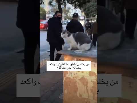من يخلص اشتراك النت واكعد ادور مشاكل ??
