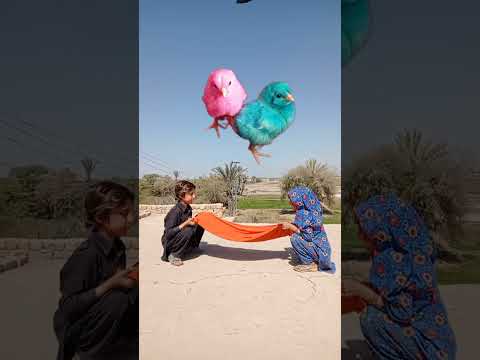 sub nabi yo sy ala #islamicvideo #islmaicvidoes #youtubeshorts