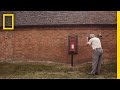 Dull Men's Club Perspectives and Insights