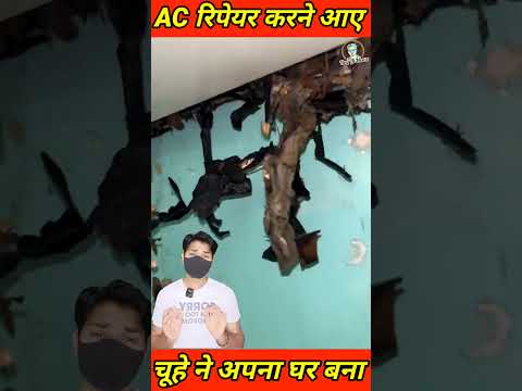 AC रिपेयर करने आए मैकेनिक ने जब हटाया उसका कवर, अंदर का नजारा देख #AC