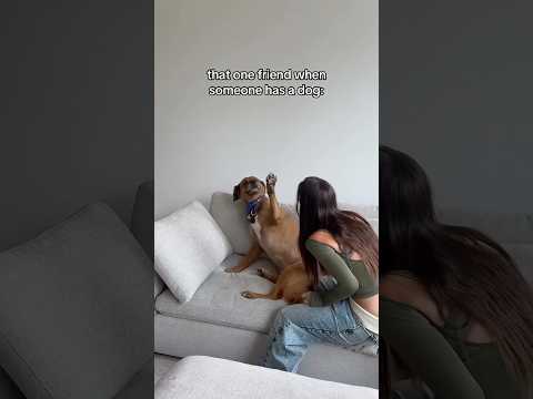 WTF Dog slowly realizes stranger is a weirdo! #shorts