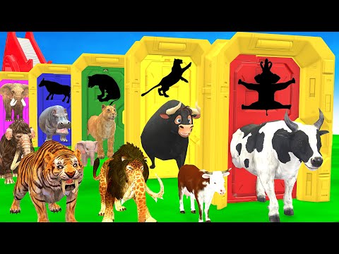 Choose The Right Baby Animal Door With Elephant Cow Tiger Hippo Buffalo 5 Time Challenge Long Slide