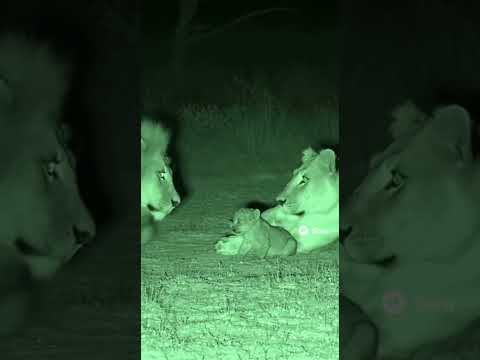 Why Is It Always the Mom’s Fault? 😂