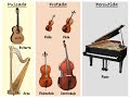 Instrumentos de Cuerda y Sonido