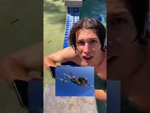 YES or NO w/ CHALLENGES & TOYS (FUNNY) #shorts