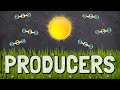 Photosynthesis and Energy Transfer Concepts