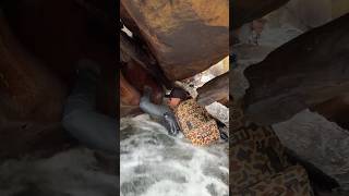 Chasing Dorado in Bolivia, the things we do to find the big ones.