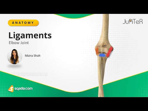 Elbow Joint | Ligaments | Bone, Ligaments and Muscles Anatomy Made Easy for Medical Students