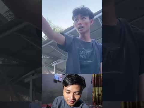 omped visual maen kucing kucingan 🗿#shortlucu #shorts #short #ompedvisual #omped #videolucu