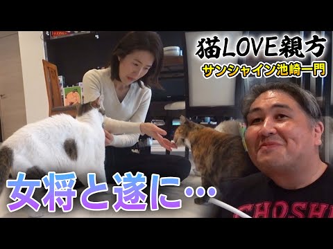 【二子山親方と保護猫みーちゃん】急接近する女将に負けじと猫LOVE親方も・・・【サンシャイン池崎一門】