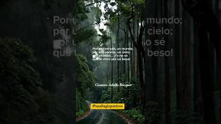 #gustavoadolfobécquer #poesíaclásica #poemacorto #amoreterno