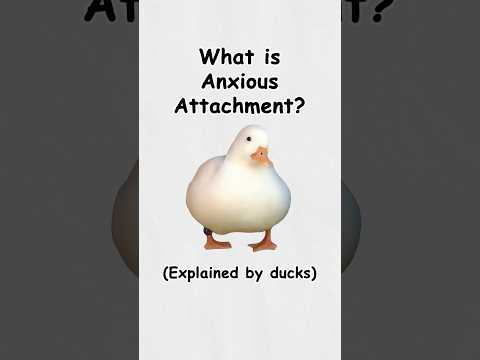 What is anxious attachment? (explained by ducks)