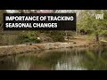 Phenology and Resource Management Concepts