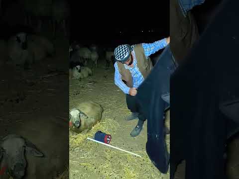 işte hayat böyle geçiyor
