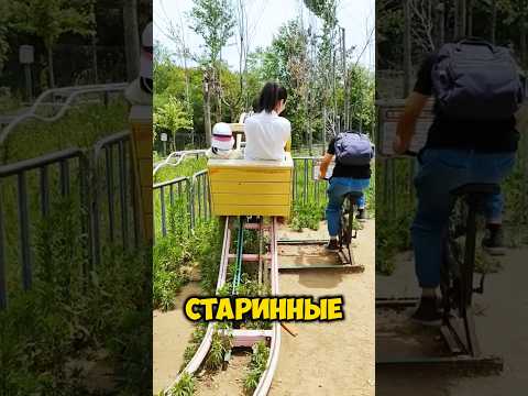 Эта семья нашла заброшенный атракцион?